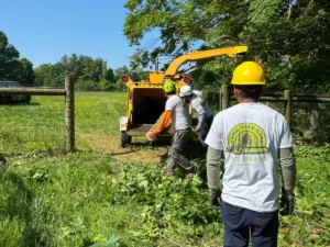 Rapid Tree Care Expands Philadelphia Operations with New South Philadelphia Location